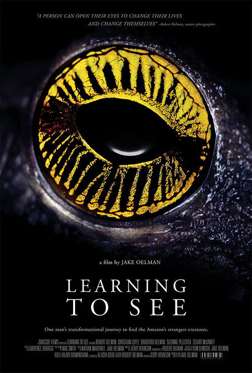 LEARNING TO SEE